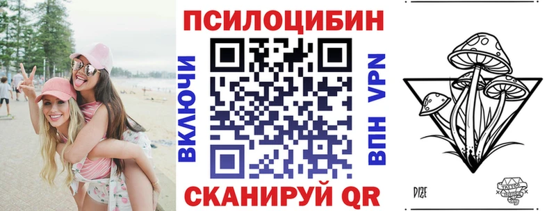 Галлюциногенные грибы Cubensis купить наркотики сайты Протвино