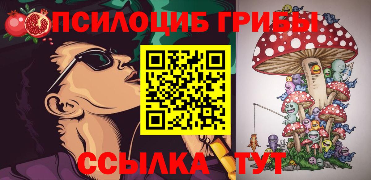 Протвино  Галлюциногенные грибы Psilocybe  Вход с VPN 